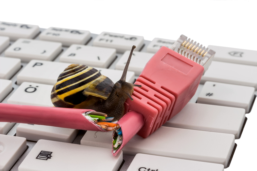 Fidelus Blog: Don't Let Slow Computers Halt Productivity: Employ Managed Services How many times
